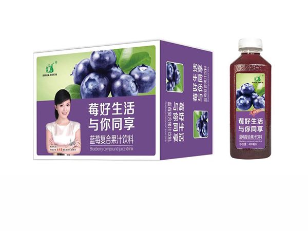 九州華洋 藍莓復(fù)合果汁飲料招商480mlx15瓶