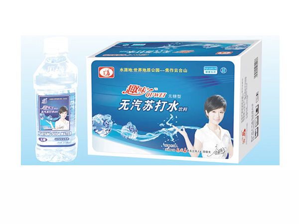 九州華洋趣味無(wú)汽蘇打水飲料350mlx24瓶